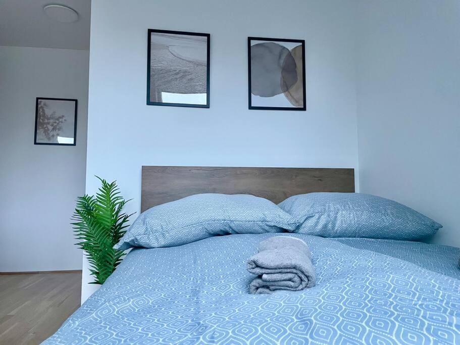 Modern Rooftop With Free Parking Wien
